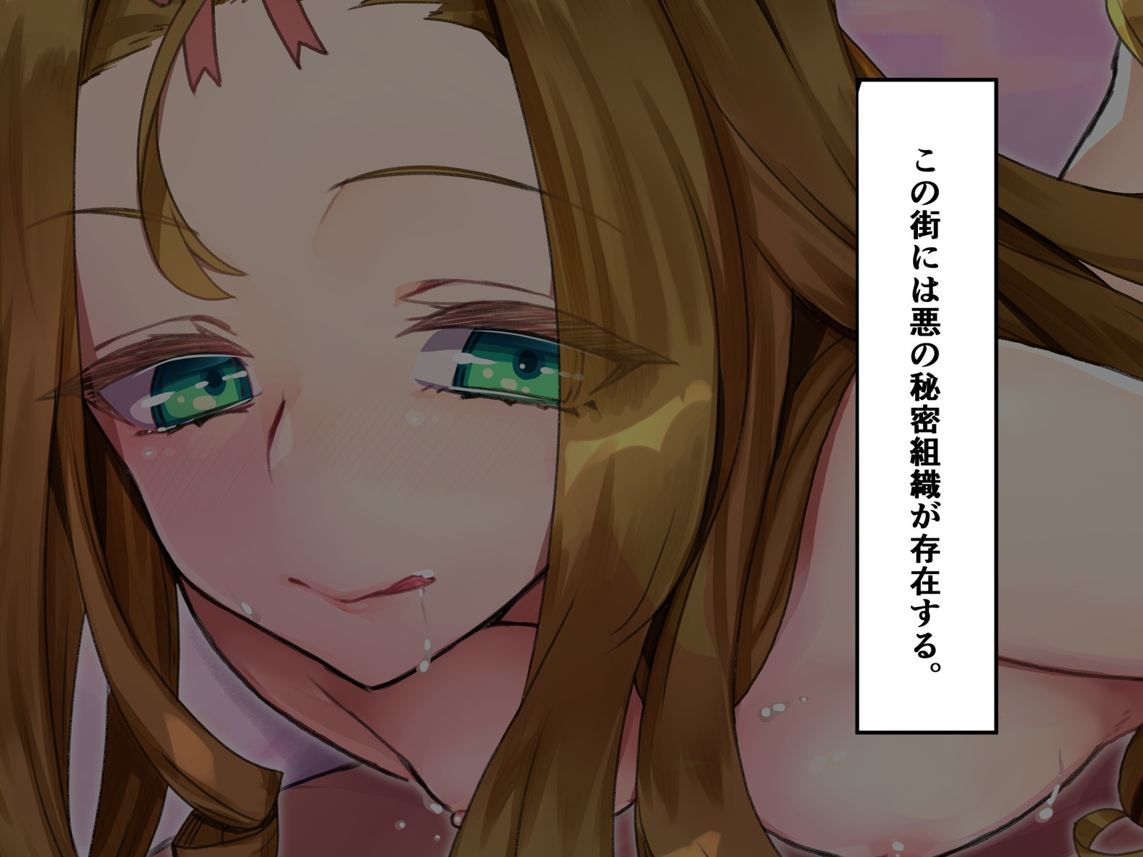 TSメスドレイエノカイゾウ