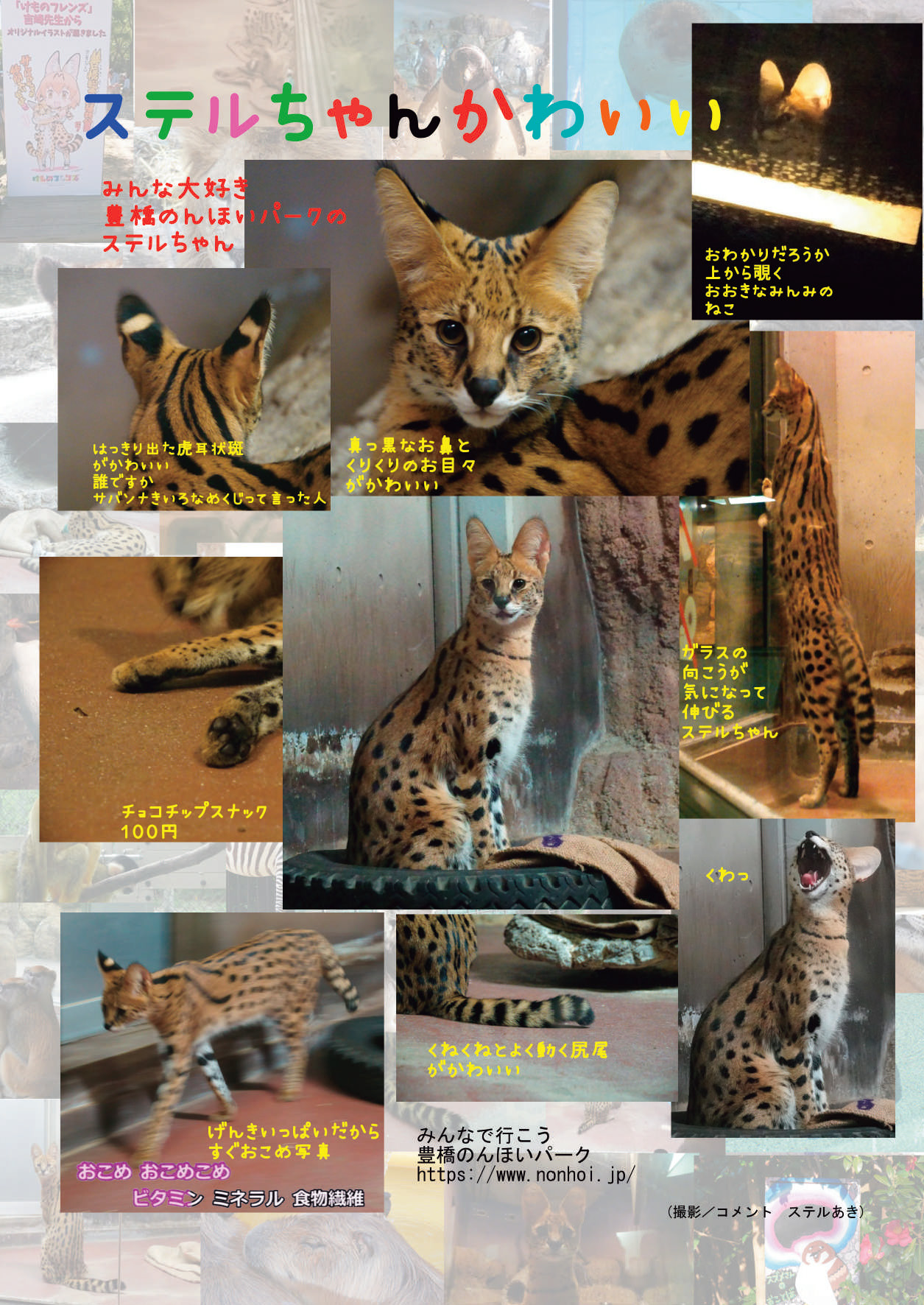 [mayけものフレンズ (よろず)] mayけものフレンズスレ合同誌 (けものフレンズ) [DL版]