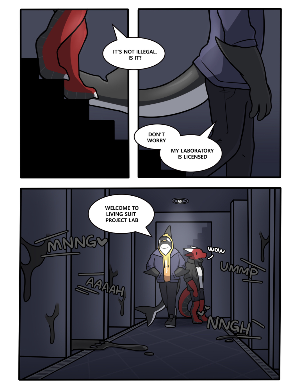 《 3611》 hacony
