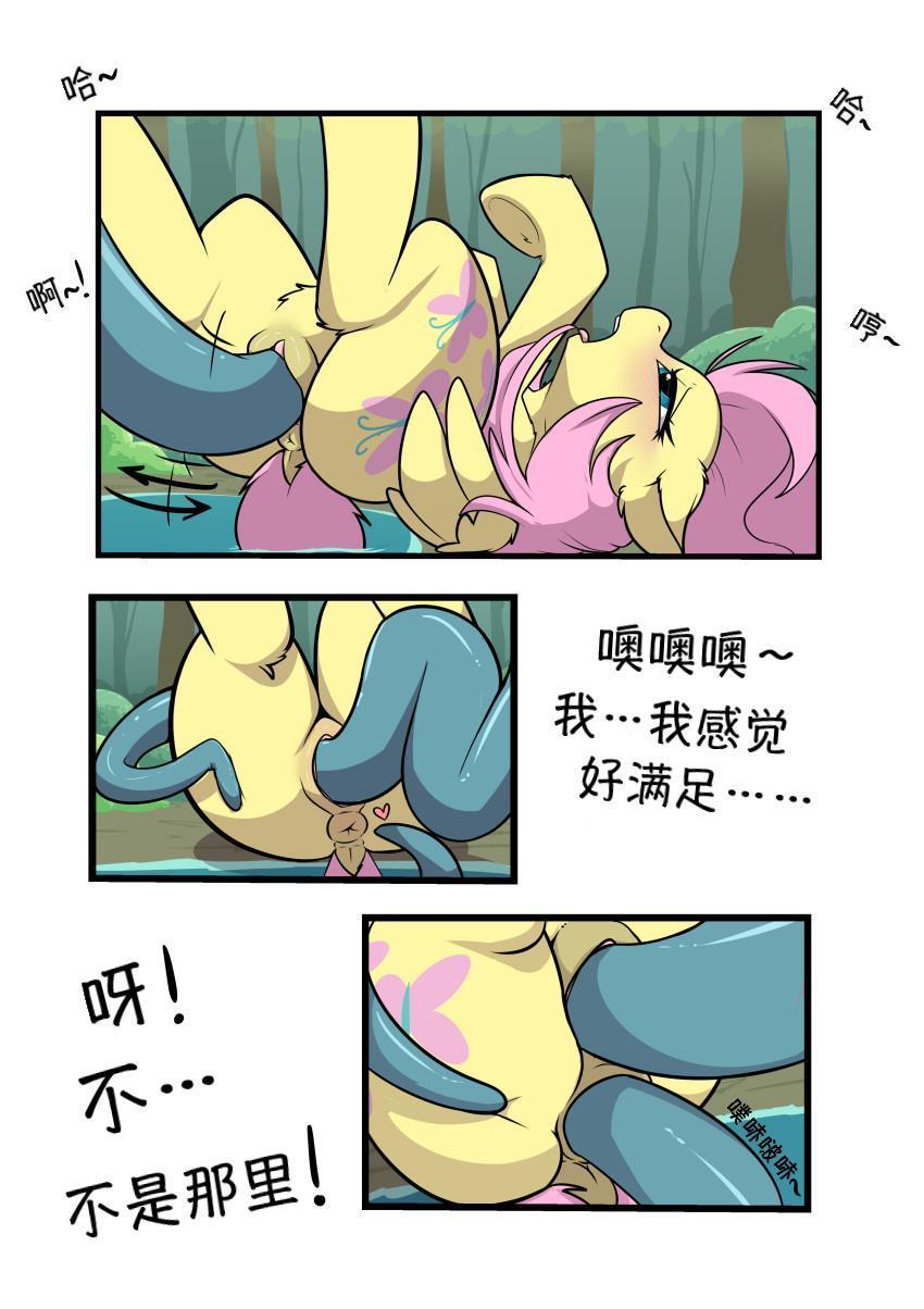 【浮力驹翻译组】小潭邂逅