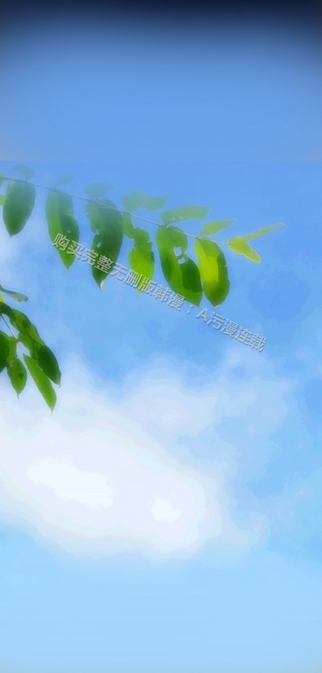 亚哈路第1季