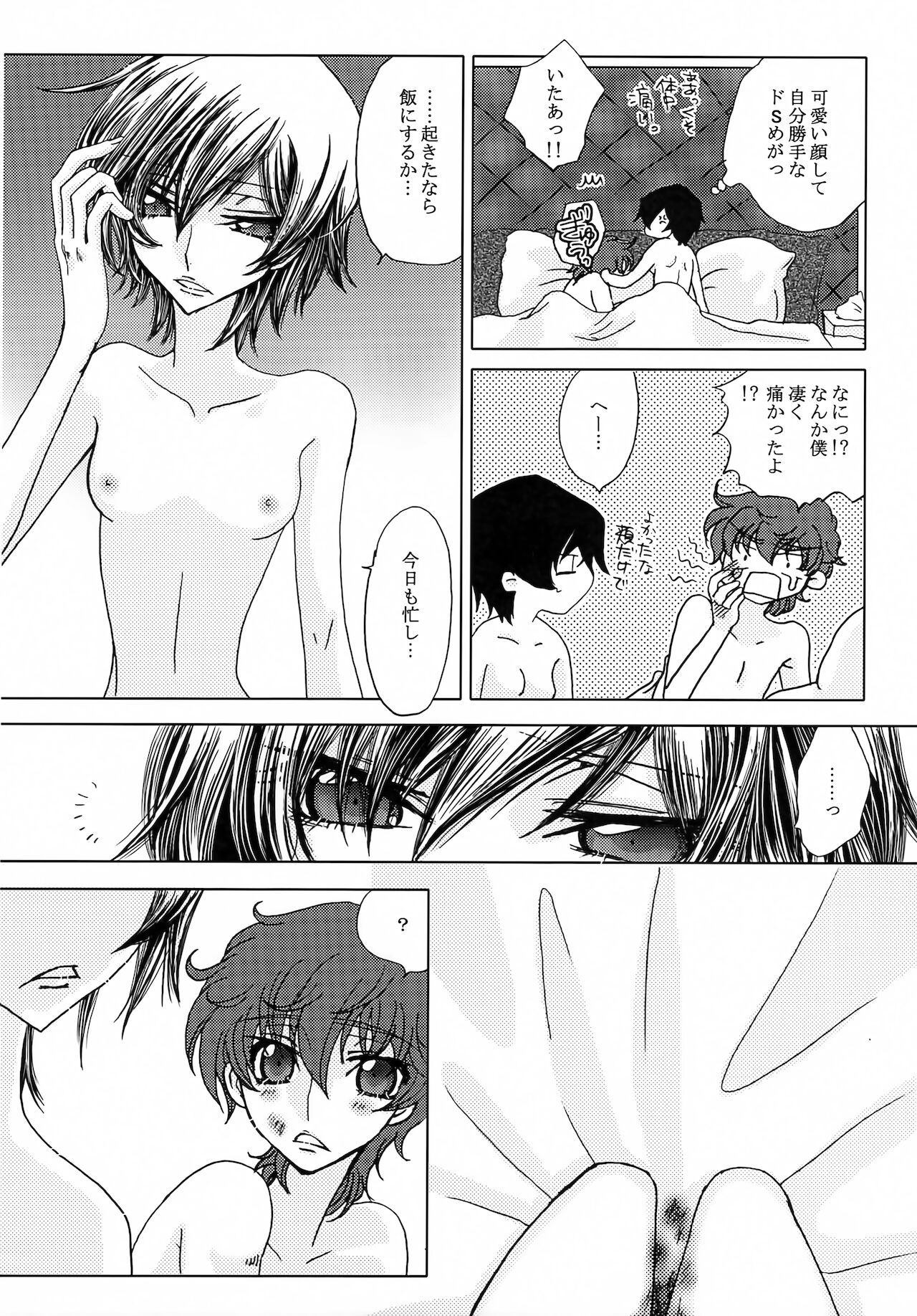 (C78) [天国と地獄 (天之音楽)] LELOULE後編 (コードギアス 反逆のルルーシュ)