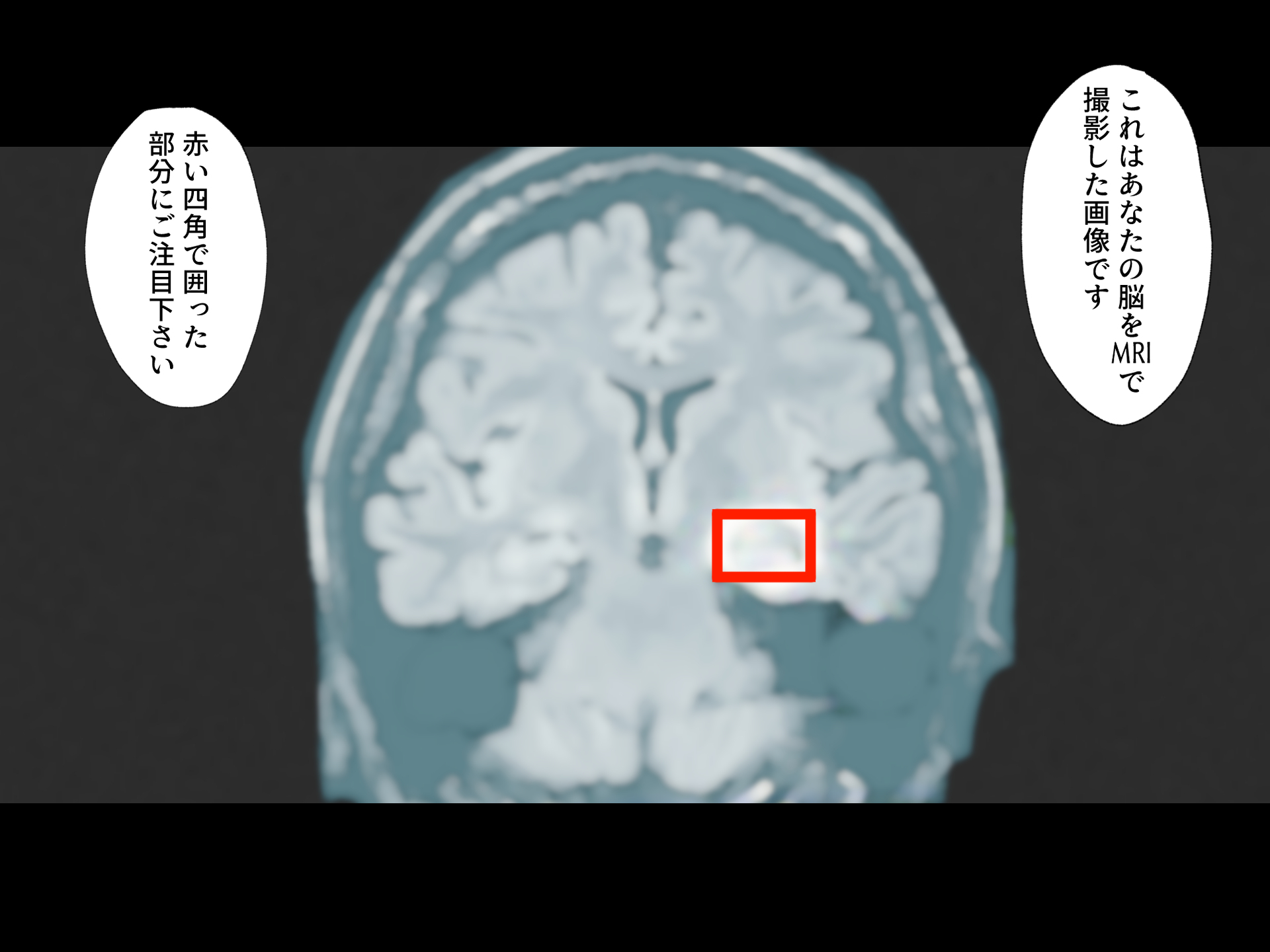 岐阜にオカサレヨクニナガサレ