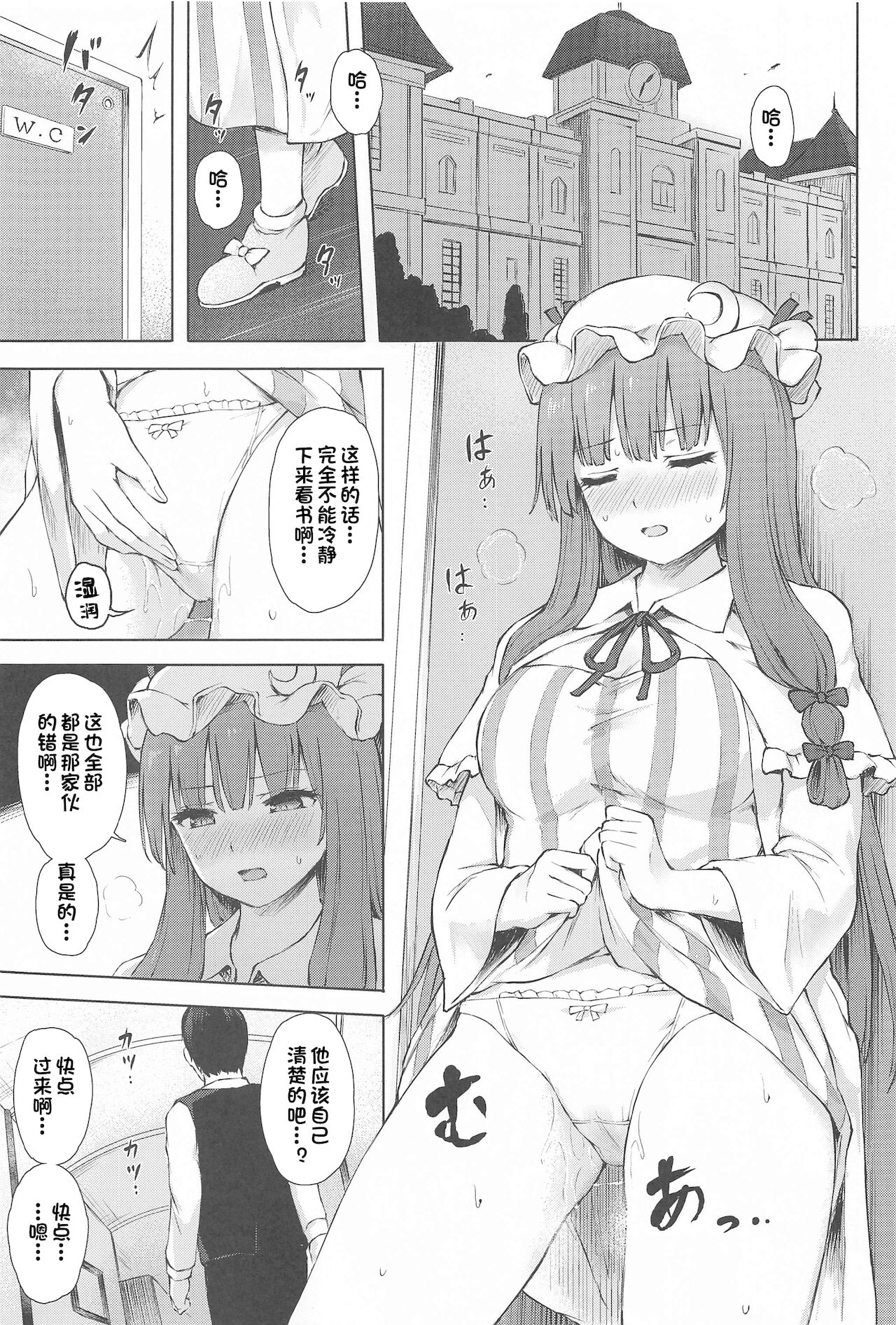 (秋季例大祭8) [てこめんち (てち)] パチュリー・ノーレッジ快発記録II (東方Project) [中国翻訳]