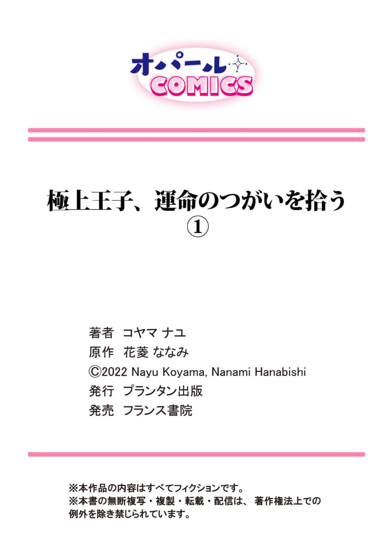 [コヤマナユ 花菱ななみ] 極上王子、運命のつがいを拾う[Chinese]