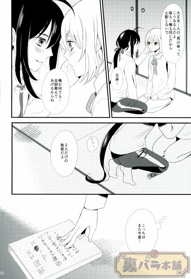 (超閃華の刻25) [藍に花むらさき (音澄)] 戯れ遊び (刀剣乱舞)