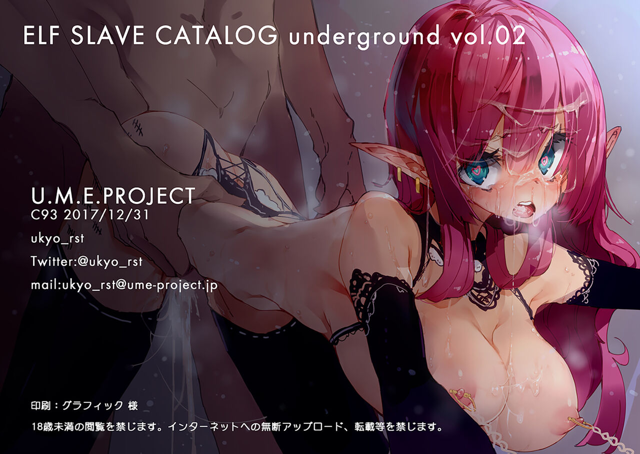 [U.M.E.Project (ukyo_rst)] ELF SLAVE CATALOG UNDERGROUND Vol.02 [DL版]